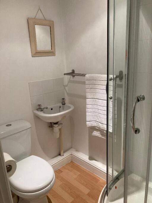 Studio Annexe With Separate Shower Room Broadhempston Eksteriør billede